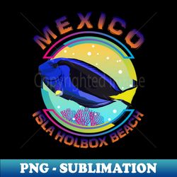 mexico isla holbox beach yucatan peninsula regal blue tang marine aquarium fish - creative sublimation png download - unleash your creativity