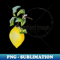 lemon in a circle - Vintage Sublimation PNG Download - Defying the Norms