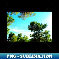 View from Montecassiano at pine trees with needles and cones - PNG Transparent Sublimation File - Bold & Eye-catching