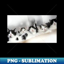 Cat - Premium Sublimation Digital Download - Instantly Transform Your Sublimation Projects