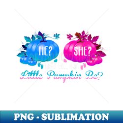 gender reveal party he or she what will our little pumpkin baby shower - sublimation-ready png file
