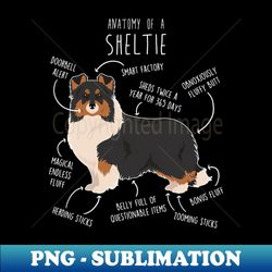 Tri Color Sheltie Shetland Sheepdog Anatomy - Instant PNG Sublimation Download