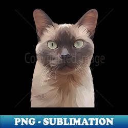 Cute cat - PNG Transparent Sublimation File