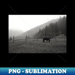 panorama of natural landscape with horse black and white photography - png sublimation digital download