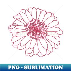 Viva Magenta Gerbera Floral Line Drawing Color of the Year - Special Edition Sublimation PNG File