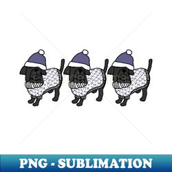 three cute dogs blue hat christmas winter sweater - instant png sublimation download