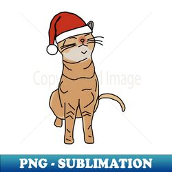 christmas kitty cat in santa hat - png transparent sublimation file