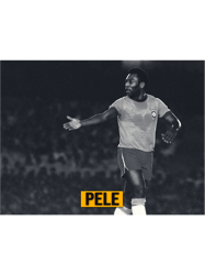 Pele Brazil Player