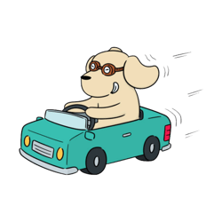 Dog Driving A Car Essential333