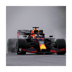 Max Verstappen making a spray during the 2020 Hungarian Grand Prix Throw Pillow