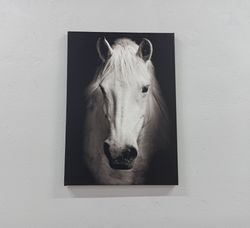 Canvas Art, Canvas Home Decor, 3D Wall Art, White Horse Photo Print, Horse Canvas Decor, Contemporary Wall Art, Modern A