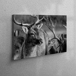 wall decor, wall art, wall art canvas, deer wildlife photo print, deer photo canvas print, wildlife canvas canvas, deer