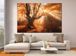 Autumn Forest wall art canvas Sun in Tree art prints Large canvas art Sunshine Tree art Autumn Landscape wall art Living