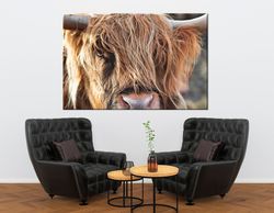 Hairy Scottish Cow canvas print Highland Cow head Large wall art Animal portrait Highland Cow print Rustic home decor Co