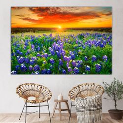 Texas Bluebonnet Field Multiple Sizes Canvas Sunset Wall Decor Flowers Art for Living Room, Ready To Hang