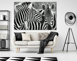 Zebra wall art Black and White Zebra art print Wildlife Large canvas art Safari Animals photo print Living room wall art