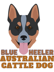 The Muscular Blue Heeler Australian Cattle Dog