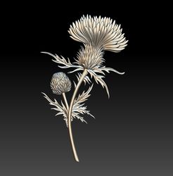 3D STL Model file Panel Thistle flower for CNC Router Engraver Carving 3D Printing