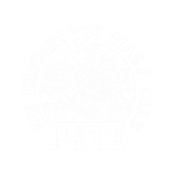 Pete We thought you was a Toad O Brother Where Art Thou