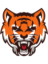 Cincy Bengals Year Of Tigre