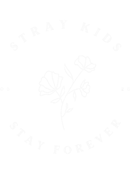 stray kids x stay forever0325