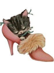 Vintage cat in a shoe