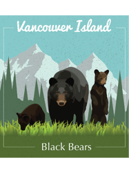 vancouver island black bear illustration