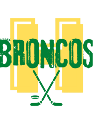Humboldt Broncos (9)
