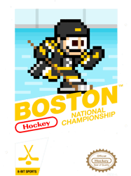 Boston Bruins Home 8bit Videogame Cart v2