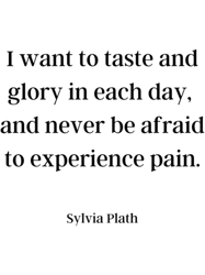 Sylvia Plath (15)