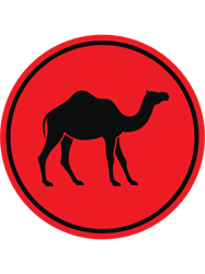 Camel(1)