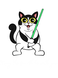 May The Fourth Be With You(4)