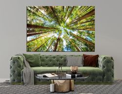 Forest wall art canvas Forest decor Nature wall art Forest painting Living room wall art Evergreen Trees print Large can