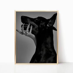 Doberman Pinscher Dog Print Black and White Old Retro Luxury Vintage Fashion Photography Canvas Framed Printed Trendy Ro