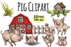 watercolor pig clipart png bundle, summer clipart, barn clipart