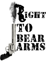 Right to Bear ArmsProtect the State and the Family VNeck