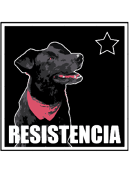 Matapaco Resistencia 19 OCT