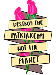 Destroy The Patriarchy Not The Planet Fitted