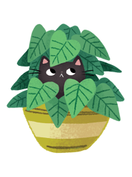 Black Cat In Planter
