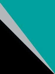 Mercedes colors Graphic