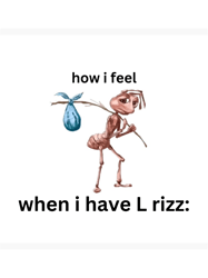 L rizz poor ant