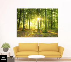 sunlight forest trees sunset boxed framed canvas art