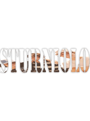Sturniolo triplets lets trip Matt Nick Chris Classic(1)