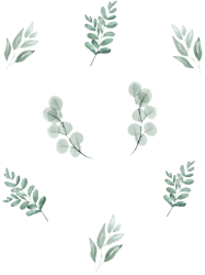 Cute Sage Green Plant set for Plant Moms