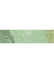 green succulent digital drawing banner