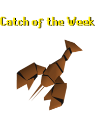 Catch of the Week