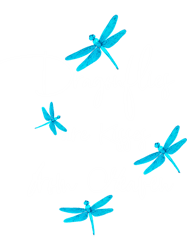 Dragonfly Gift for women spiritual faith dragonflies lovers(2)