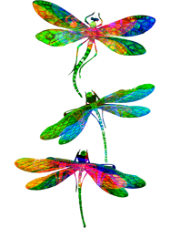 Watercolor Dragonflies