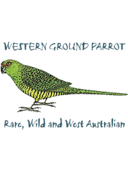 Western Ground Parrot by Wendy Binks