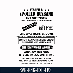 I'm a spoiled husband svg, png, dxf, eps, digital file TD52